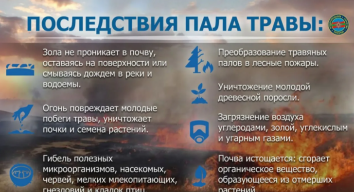 Последствия пала травы.